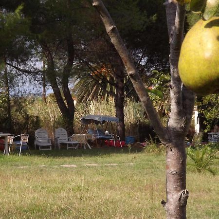 Pefka Studios & Apartments Chalkidiki エクステリア 写真