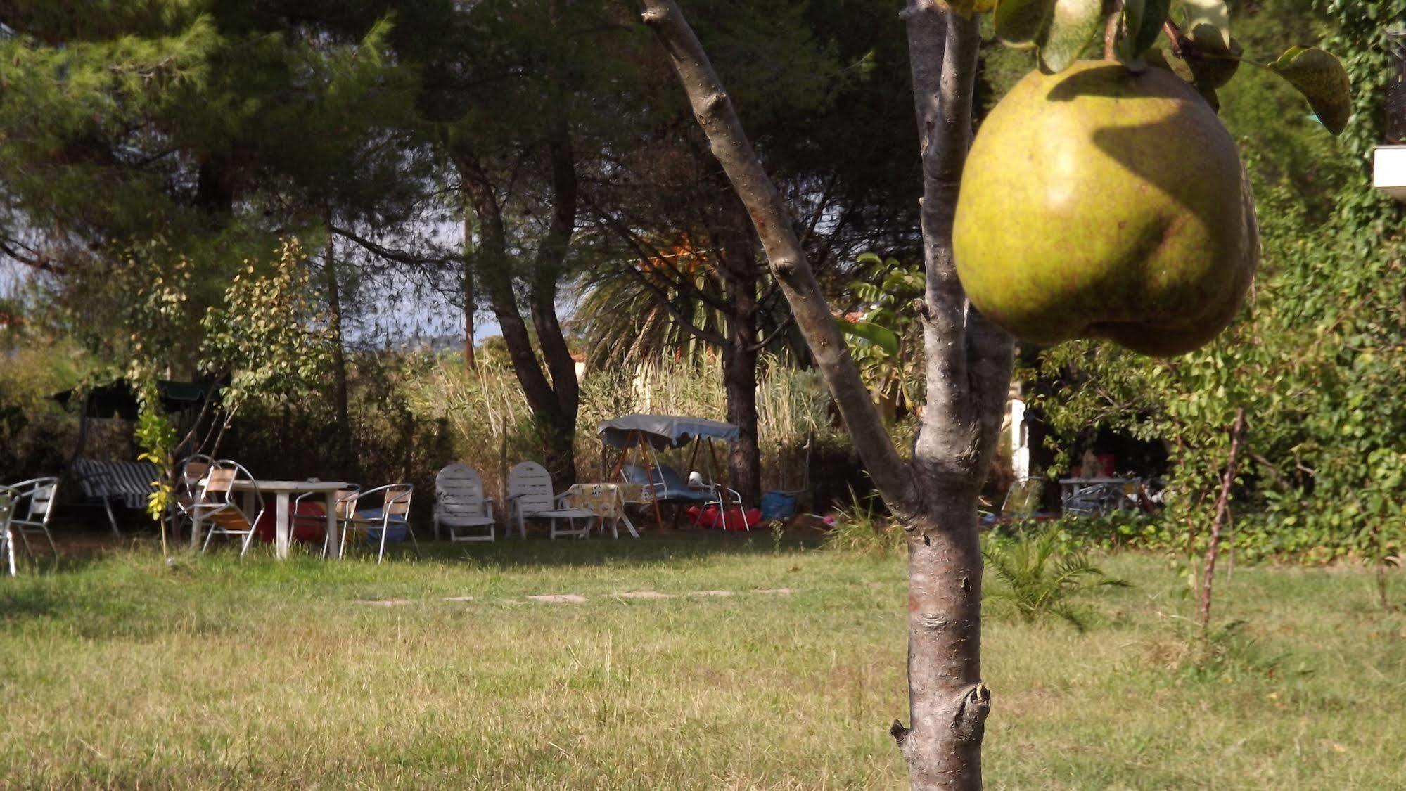 Pefka Studios & Apartments Chalkidiki エクステリア 写真