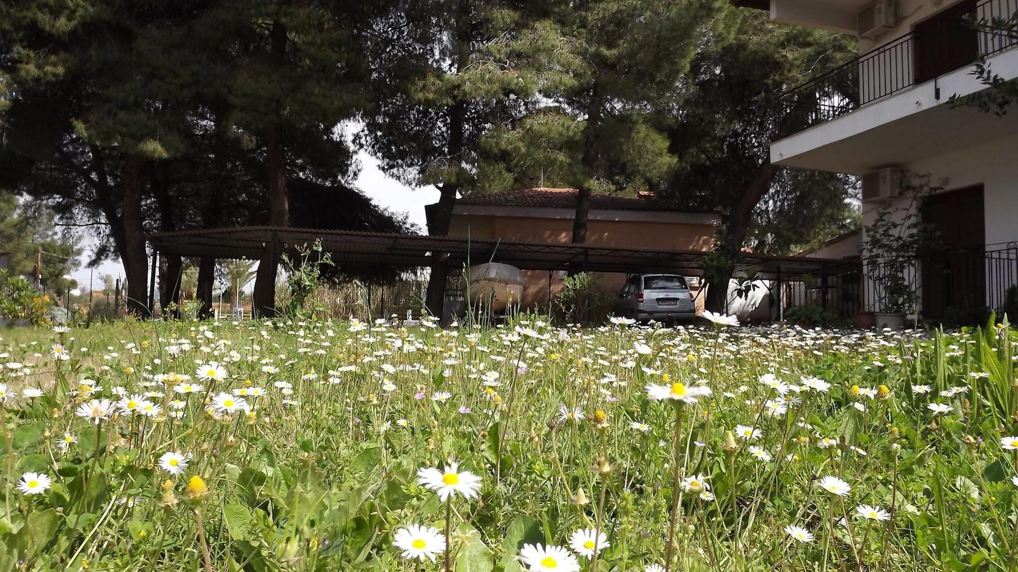 Pefka Studios & Apartments Chalkidiki エクステリア 写真