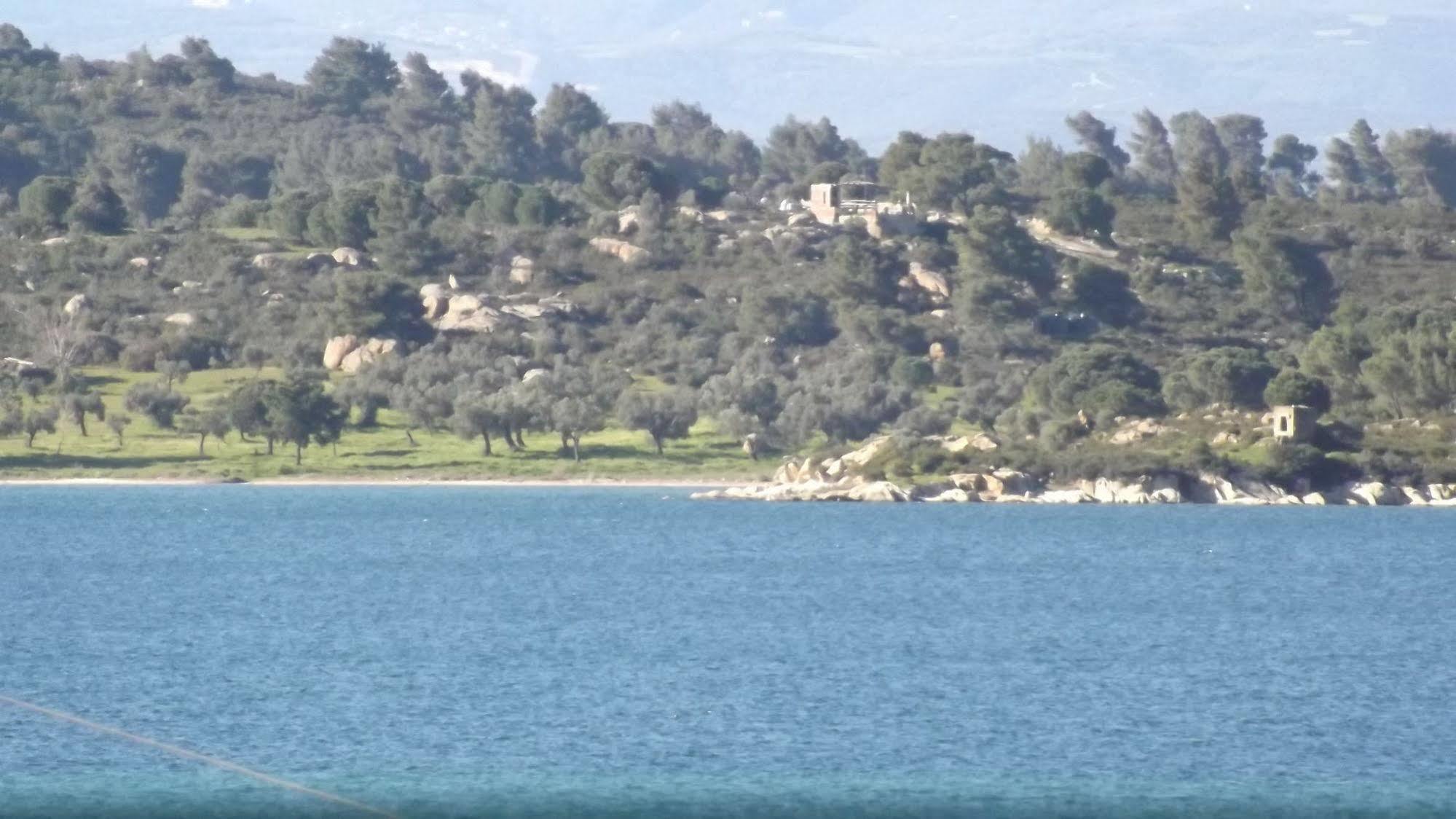 Pefka Studios & Apartments Chalkidiki エクステリア 写真